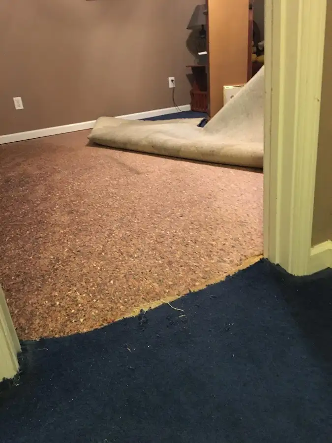 Carpet pad removal revealing water damage during Water Mitigation Services in West Lampeter